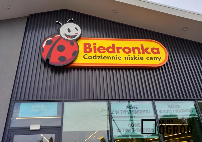 Przegląd gazetki Biedronki z dn. 6-11.10 Różne rodzaje kawy zaparzone w filiżankach