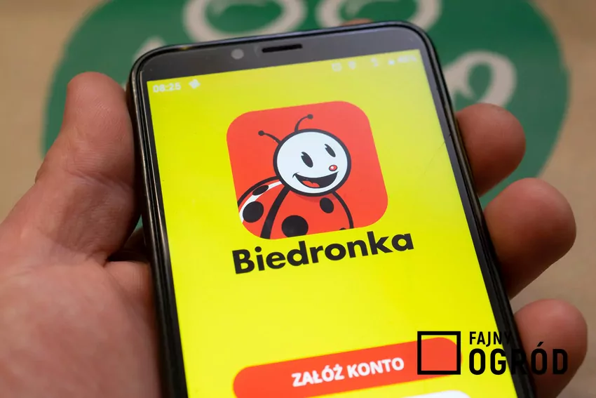 Biedronka