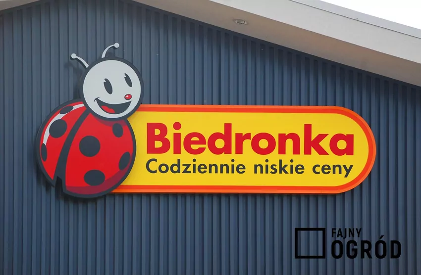 Przegląd gazetki Biedronki z dn. 6-11.10 Sklep Biedronka