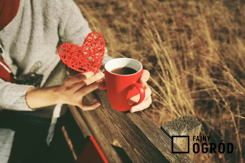 Picie kawy zbożowej