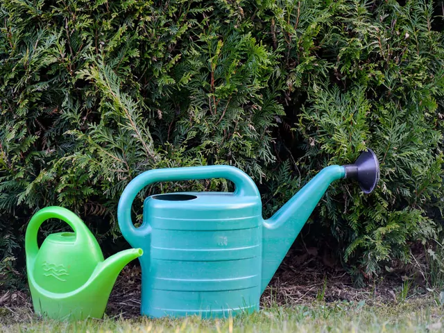 Woda gazowana do podlewania roślin