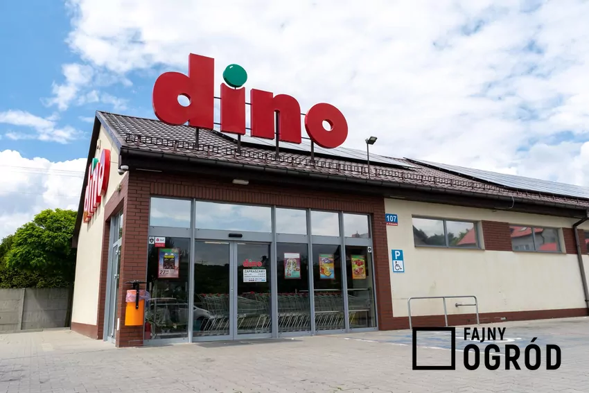 Dino - sklep