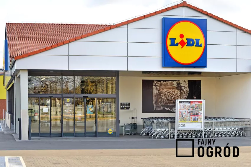 Dział z kawą w Lidlu
