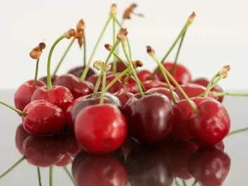 Czereśnia 'Van' - zdjęcie 2