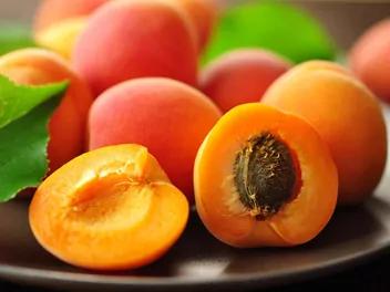 Zdjęcie ilustrujące morela ‘harcot’