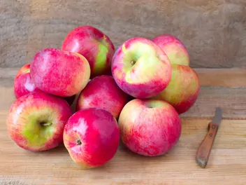 Zdjęcie ilustrujące jabłoń 'lobo'