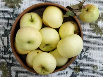 Zdjęcie ilustrujące jabłoń ‘papierówka’