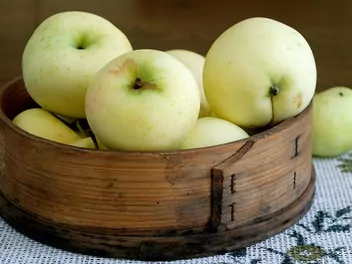 Jabłoń ‘Papierówka’ - zdjęcie 5