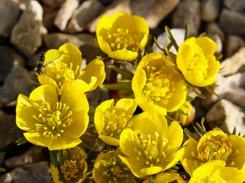 Rannik wiosenny - zdjęcie 2