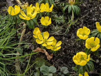 Rannik wiosenny - zdjęcie 4