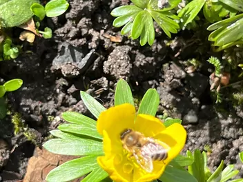 Rannik wiosenny - zdjęcie 5