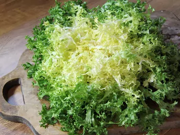 Zdjęcie ilustrujące endywia kędzierzawa