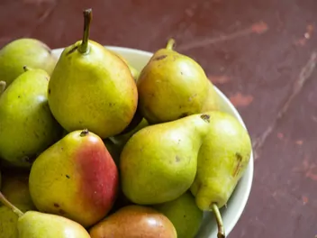 Ilustracja rośliny grusza 'ukraińska'