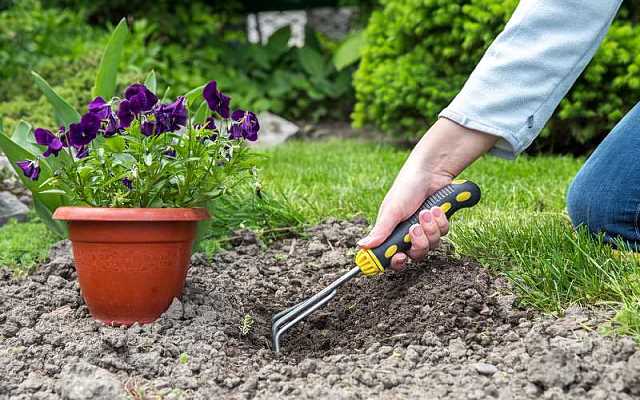 Pierwsze kroki w ogrodzie – jak przygotować ziemię pod sadzenie roślin?