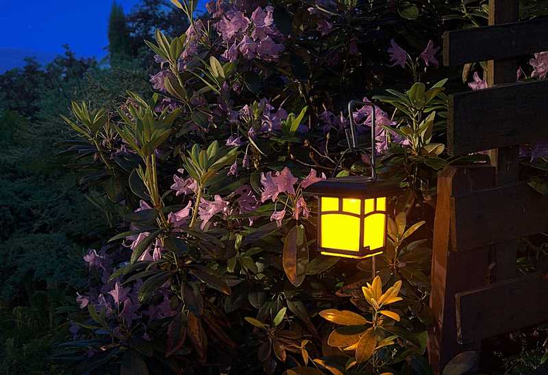 Dekoracja ogrodu światłem
