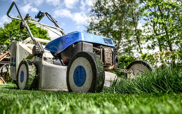 Jak zadbać o trawnik przed domem?