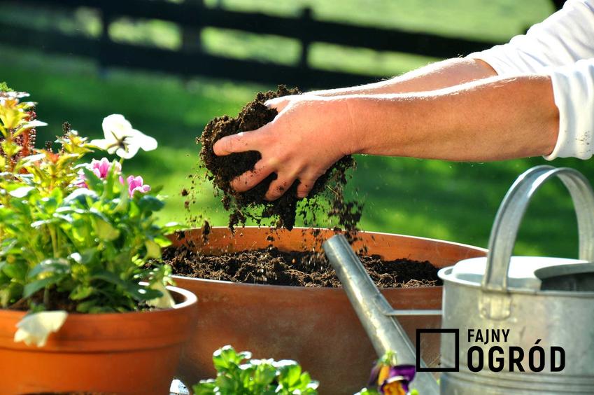Tof do ogrodu może posłużyć do przygotowania kompostu. Jest świetny do uprawy roślin w ogrodzie lub w doniczkach.