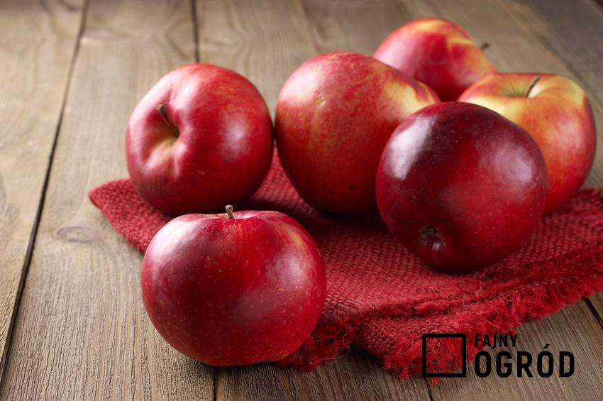 Jabłka Ligol są bardzo smaczne. Uprawa jabłoni tej odmiany nie jest trudna. Wymaga tylko podlewania i regularnego cięcia.