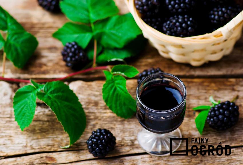 Wino z jeżyn czy tez tak zwane wino z czenic w kieliszku i najlepsze przepisy na wino jeżynowe krok po kroku
