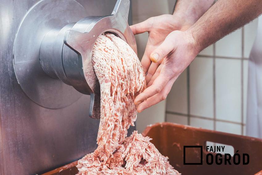 Mielenie mięsa i domowa kiełbasa swojska, czyli jak zrobić kiełbasę w domu krok po kroku: najlepsze przepisy