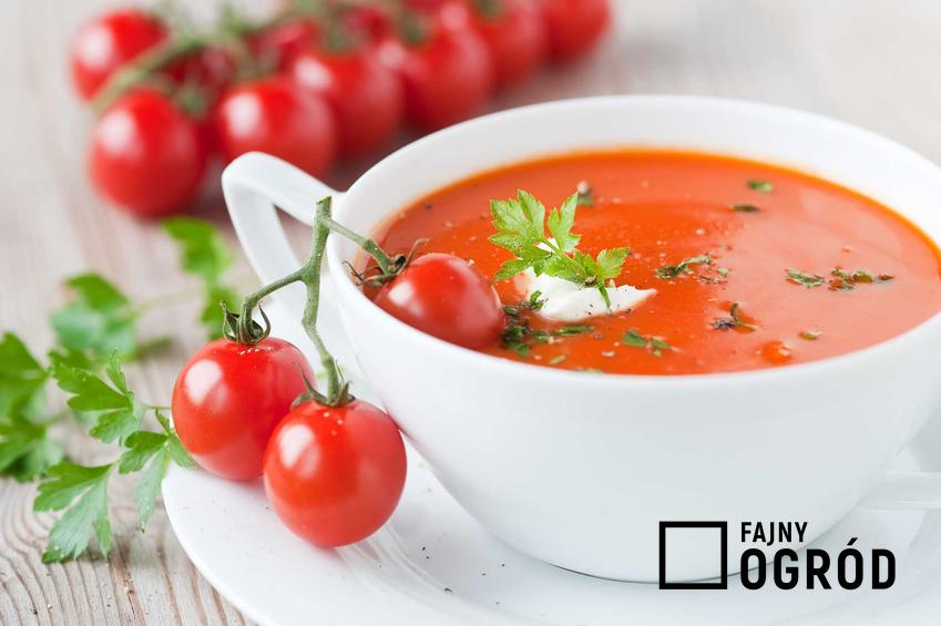 Zupa pomidorowa ze świeżych pomidorów jako zupa krem, czyli pomidorowa z pomidorów świeżych na obiad i jej przygotowanie