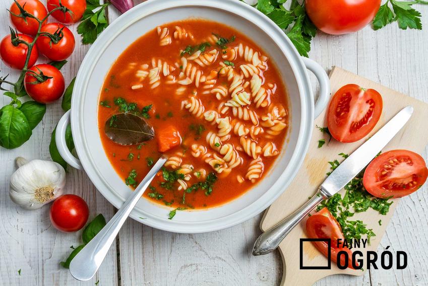 Zupa pomidorowa ze świeżych pomidorów z makaronem, czyli pomidorowa z pomidorów świeżych, najlepszy przepis i wykonanie