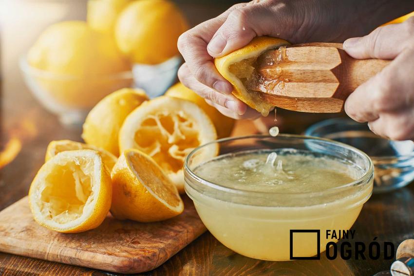 Sok z cytryny, a także picie soku z cytryny na czczo, jego działanie i właściwości oczyszczające krok po kroku