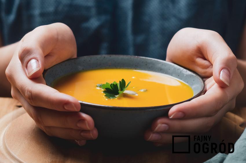Zupa dyniowa na talerzu, a także przepis na zupę z dyni i porady, jak zrobić
