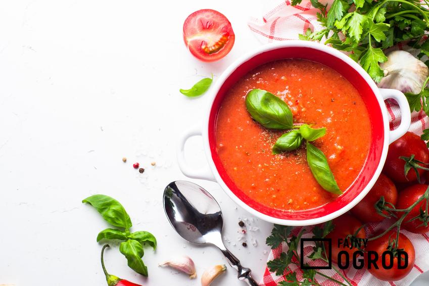 Zupa krem z pomidorów w miseczce z bazylią, a także zupa krem pomidorowy i przepisy