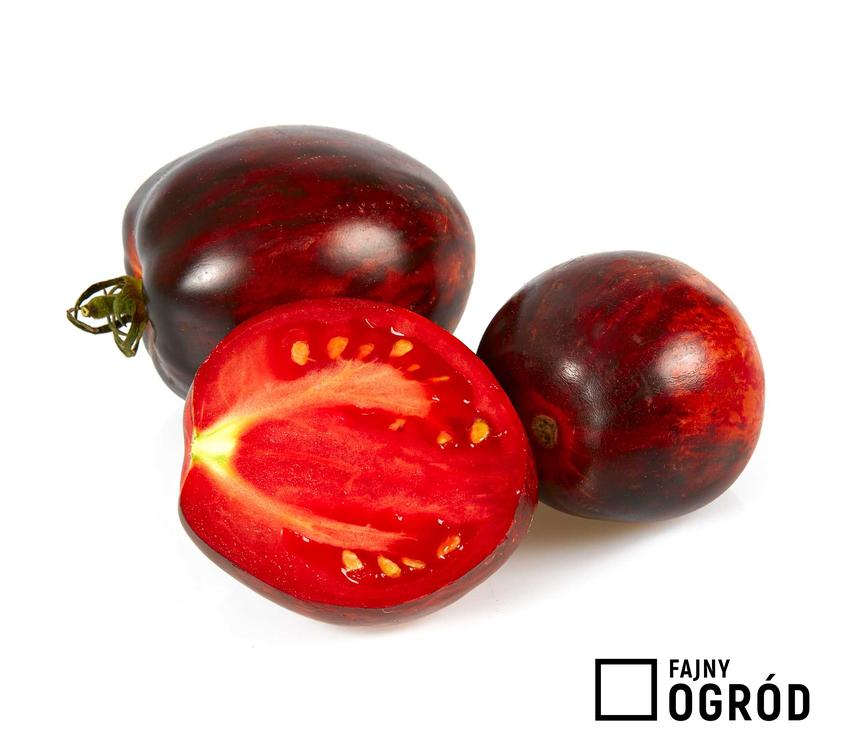 Pomidor 'Gargamel' o ciemnej, prawie czarnej skórce i niewielkich owocach, a także sadzenie pomidora, uprawa, porady, inne odmiany i zastosowanie