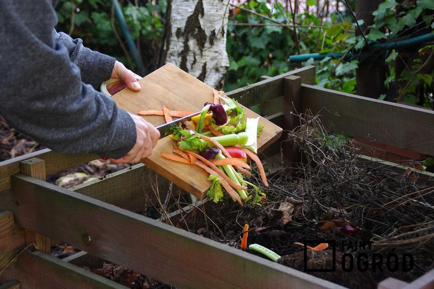 Wrzucanie restek warzyw do pojemników kompostwoników z palet, a także wskazówki, jak zrobić kompostownik z palet
