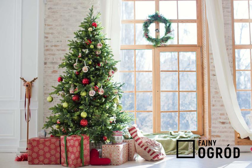 Choinka bożonarodzeniowa z dekoracjami w salonie, a także porady, czy wybrać choinkę ciętą czy w donicy