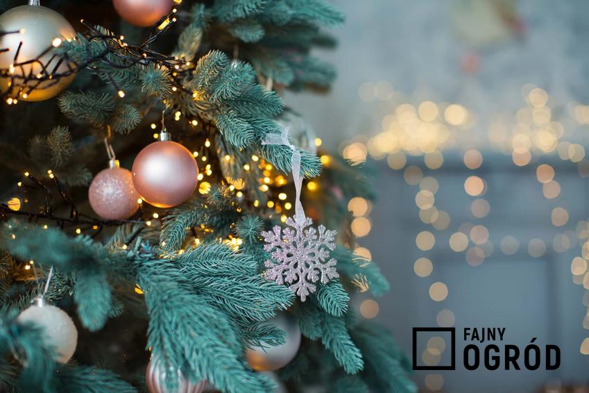 Udekorowana choinka ze świątecznymi dekoracjami, a także porady, jak przedłużyć żywotność choinki po świętach