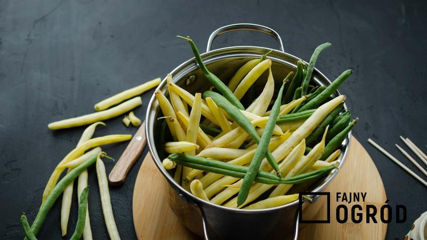 Sałatka z fasolki szparagowej, czyli najlepsze przepisy na sałatkę z dodatkiem fasolki szparagowej i sezonowych warzyw
