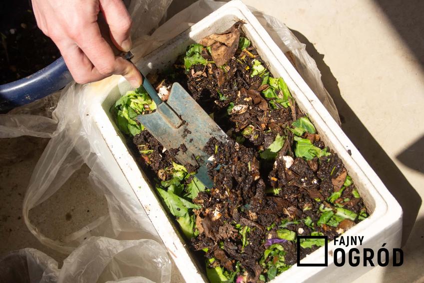 Przygotowanie kompostu w domu, a także kompostownik krok po kroku, najważniejsze zasady i wskazówki