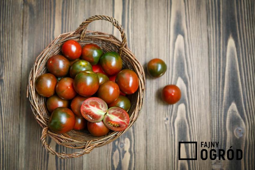 Drobne pomidorki czekoladowe w koszyczku, a także sadzenie, pielęgnacja oraz wymagania pomidorów czekoladowych