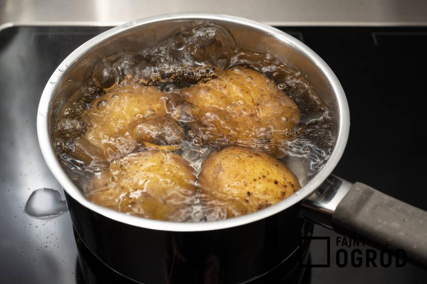 Gotowanie ziemniaków w rondelku, a także podpowiedzi, ile gotować ziemniaki krok po kroku, praktyczny poradnik