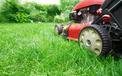 Wertykulacja trawnika – cena, terminy i inne porady