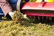 Zwalczanie mchu w trawniku i na kostce brukowej - sprawdzone sposoby