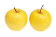 Jabłoń Kosztela - uprawa, pielęgnacja, sadzenie