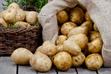 Odmiany ziemniaków jadalnych w Polsce - przegląd popularnych gatunków
