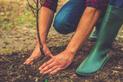 Sadzenie drzew krok po kroku - praktyczne porady, terminy, ciekawostki