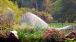 4 najlepsze metody na nawadnianie ogrodu - praktyczny poradnik