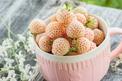 Pineberry (białe truskawki) - odmiany, sadzenie, uprawa, rozmnażanie