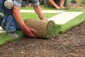 Hydrożel przy zakładaniu trawnika - dlaczego warto go użyć?