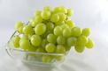 Winogrona bezpestkowe – opis, sadzonki, uprawa, porady