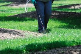 Mało uciążliwa pielęgnacja trawnika - sprawdzone sposoby