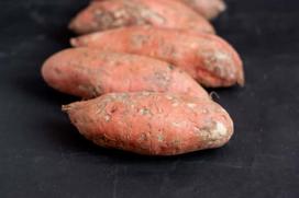 Bataty – uprawa w ogrodzie słodkich ziemniaków krok po kroku