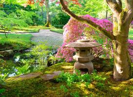 Własny ogród japoński? Zobacz, jak go założyć krok po kroku