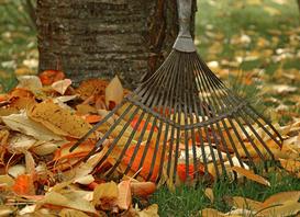 Jesień w ogrodzie - jakie prace wykonać o tej porze roku?
